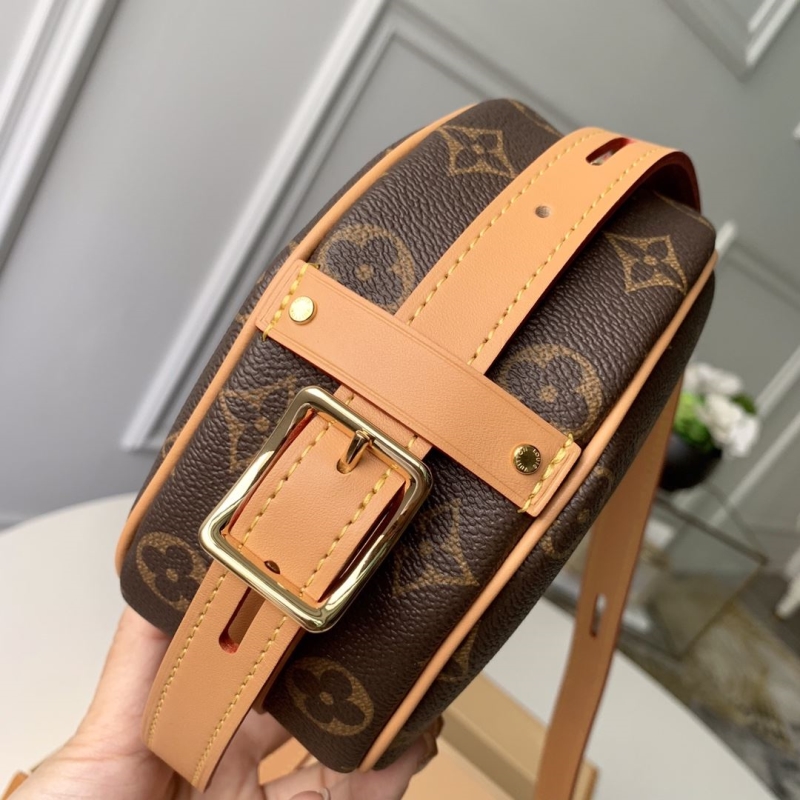 LV Satchel bags